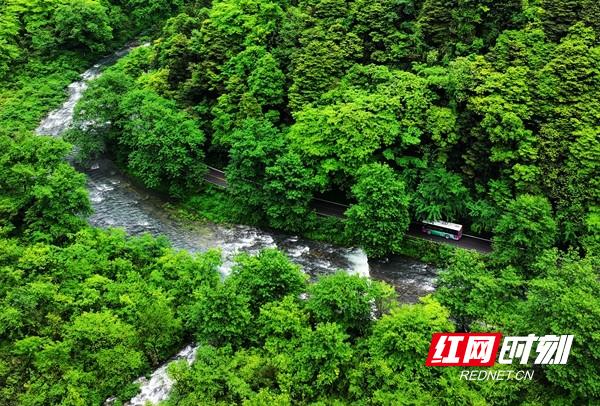 「“五一”游张家界」景区环保客运实现“双零”目标